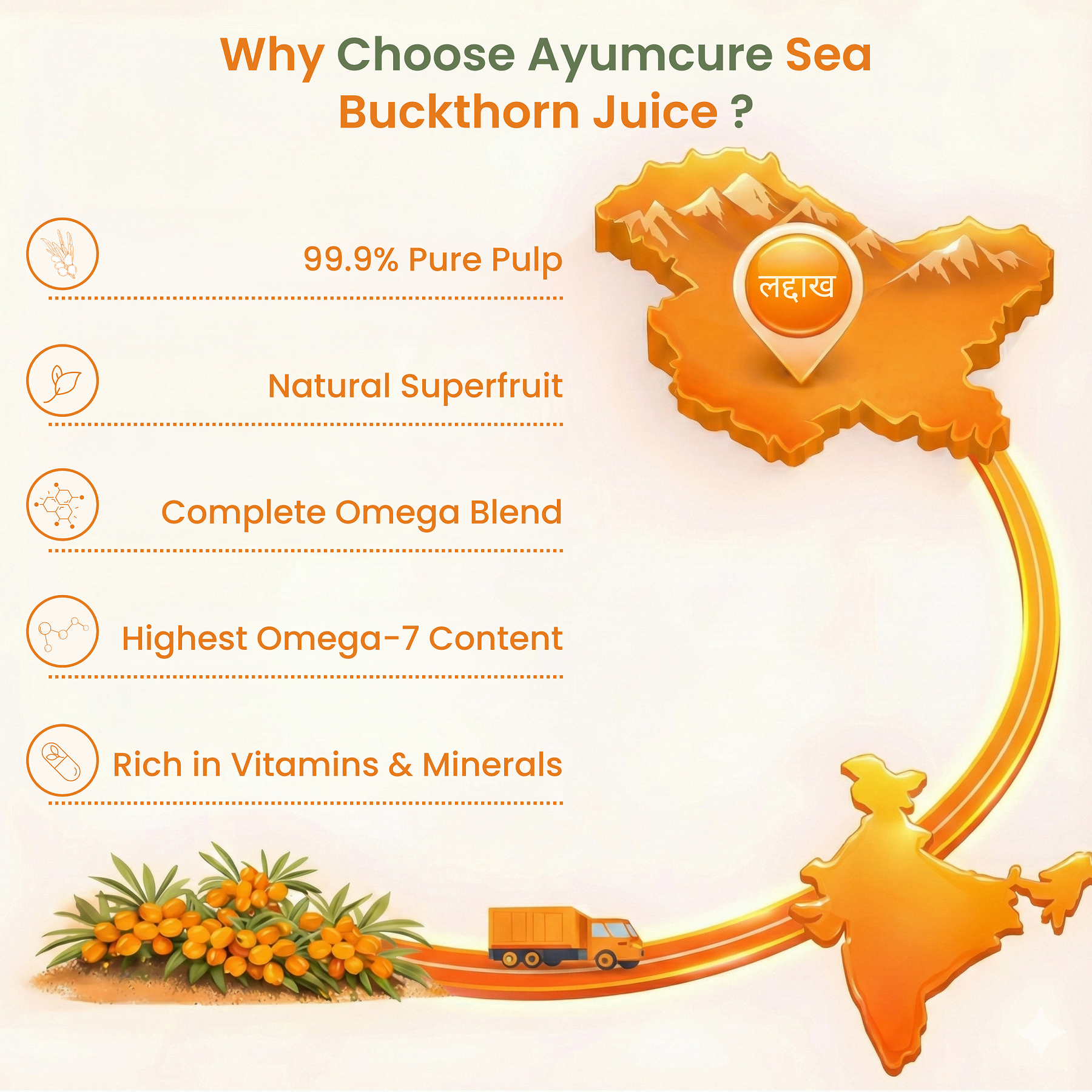 Sea Buckthorn Concentrate Pack of 2 | Omega 3,6,7,9 + Antioxidants | Sugar Free | Unisex