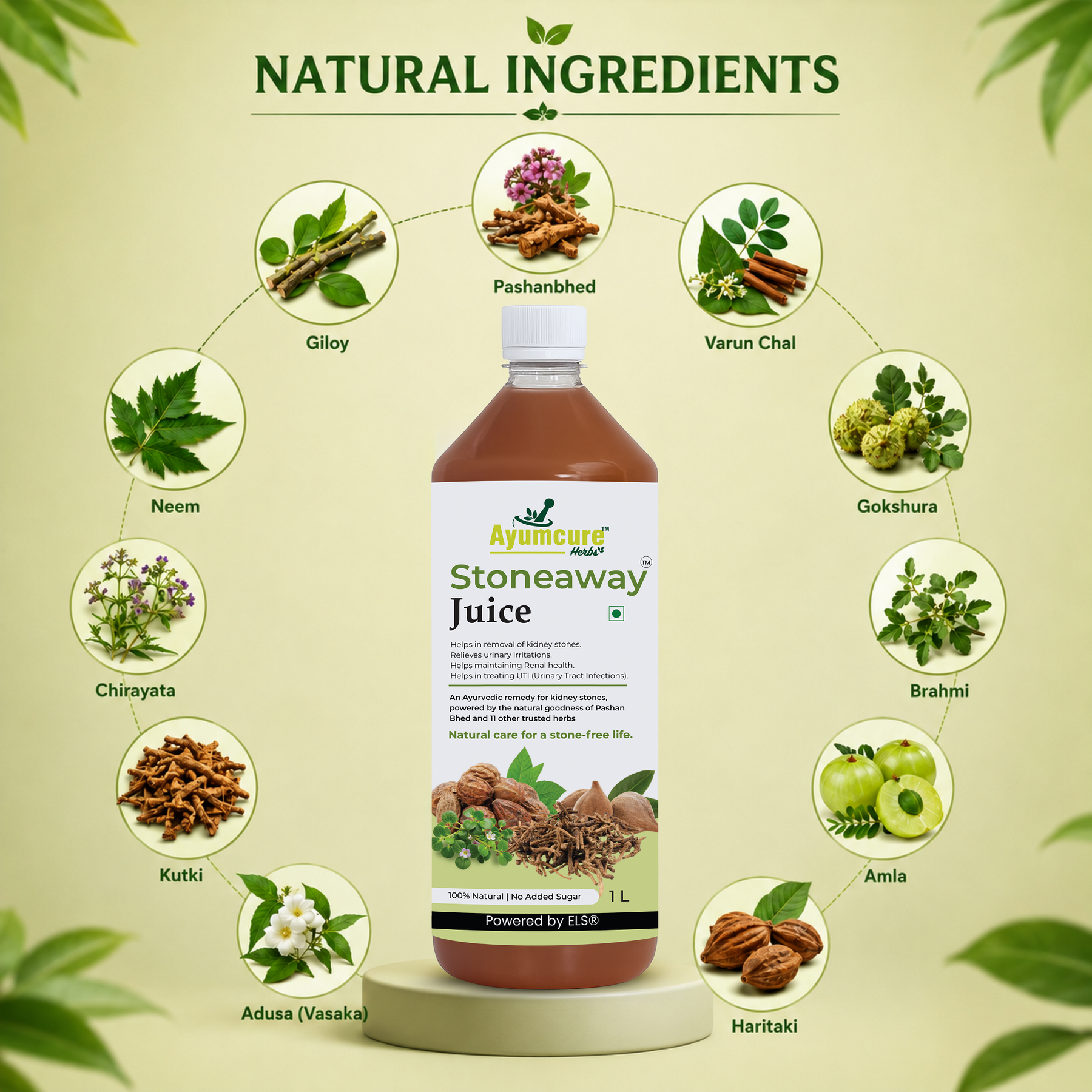 Stoneaway Juice | Pashan Bhed + Gokshura | Kidney Stone & UTI Support | Unisex