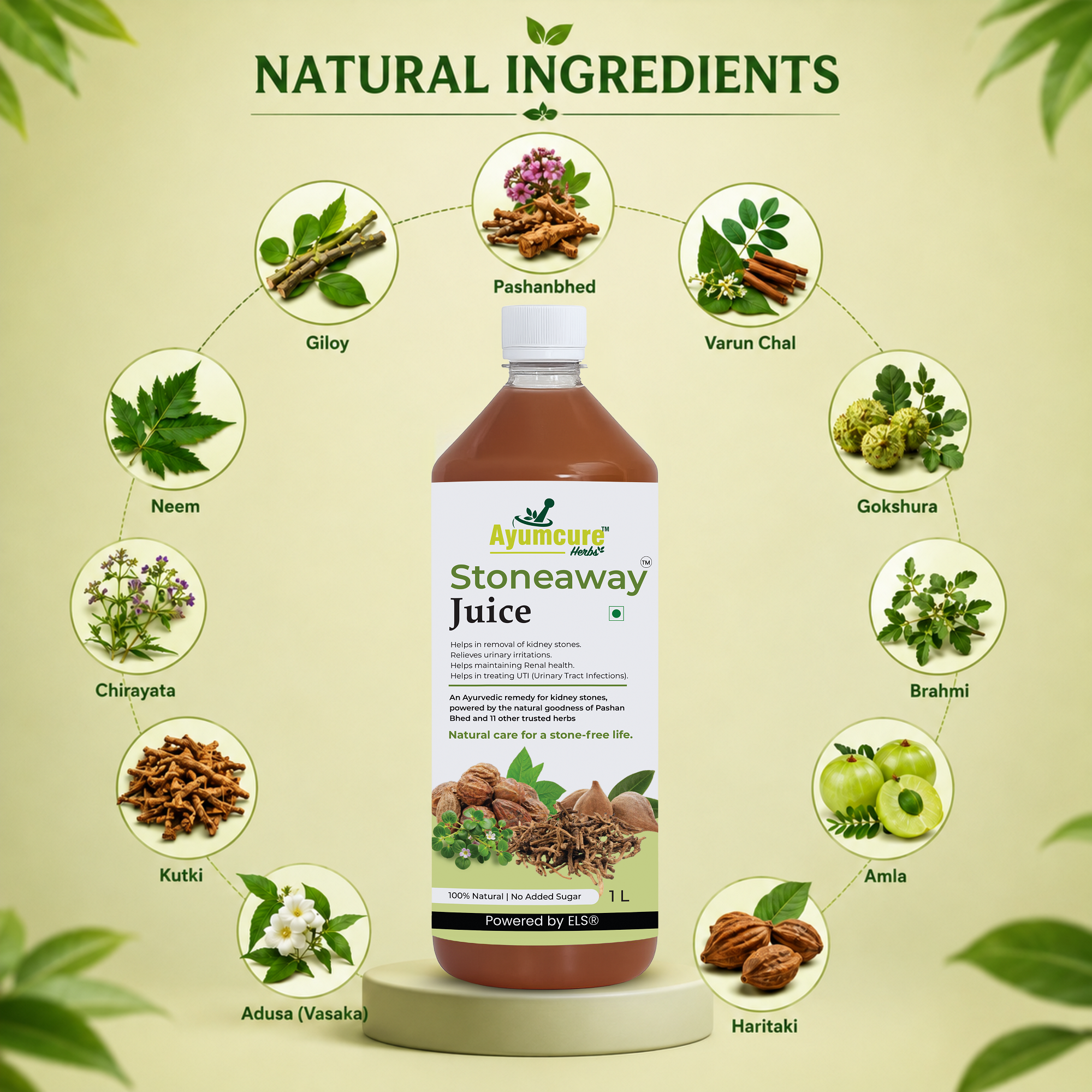 Stoneaway Juice | Pashan Bhed + Gokshura | Kidney Stone & UTI Support | Unisex