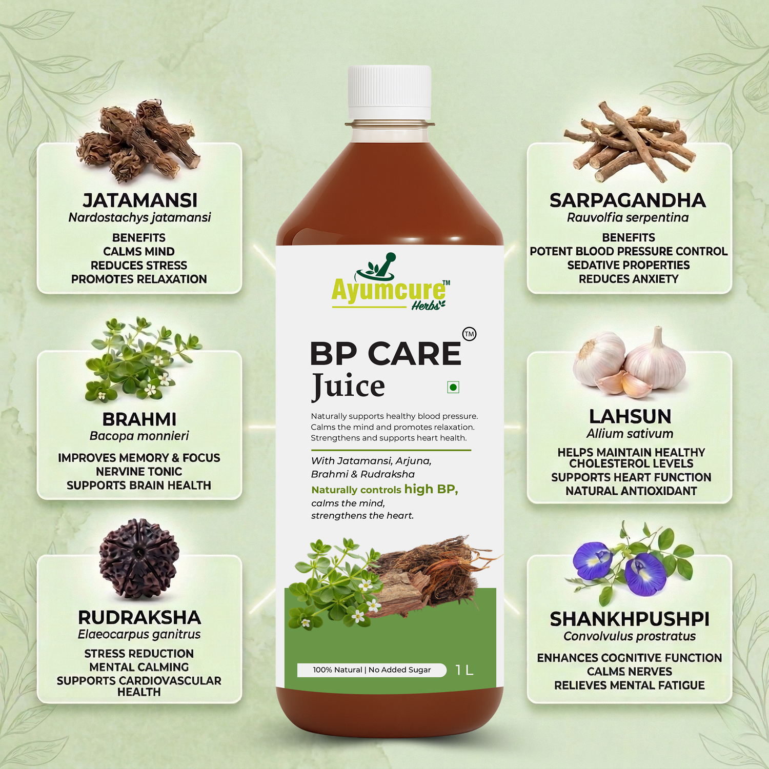 BP Care Ayurvedic Juice Pack of 2 – Blood Pressure Management | Sugar Free | Unisex