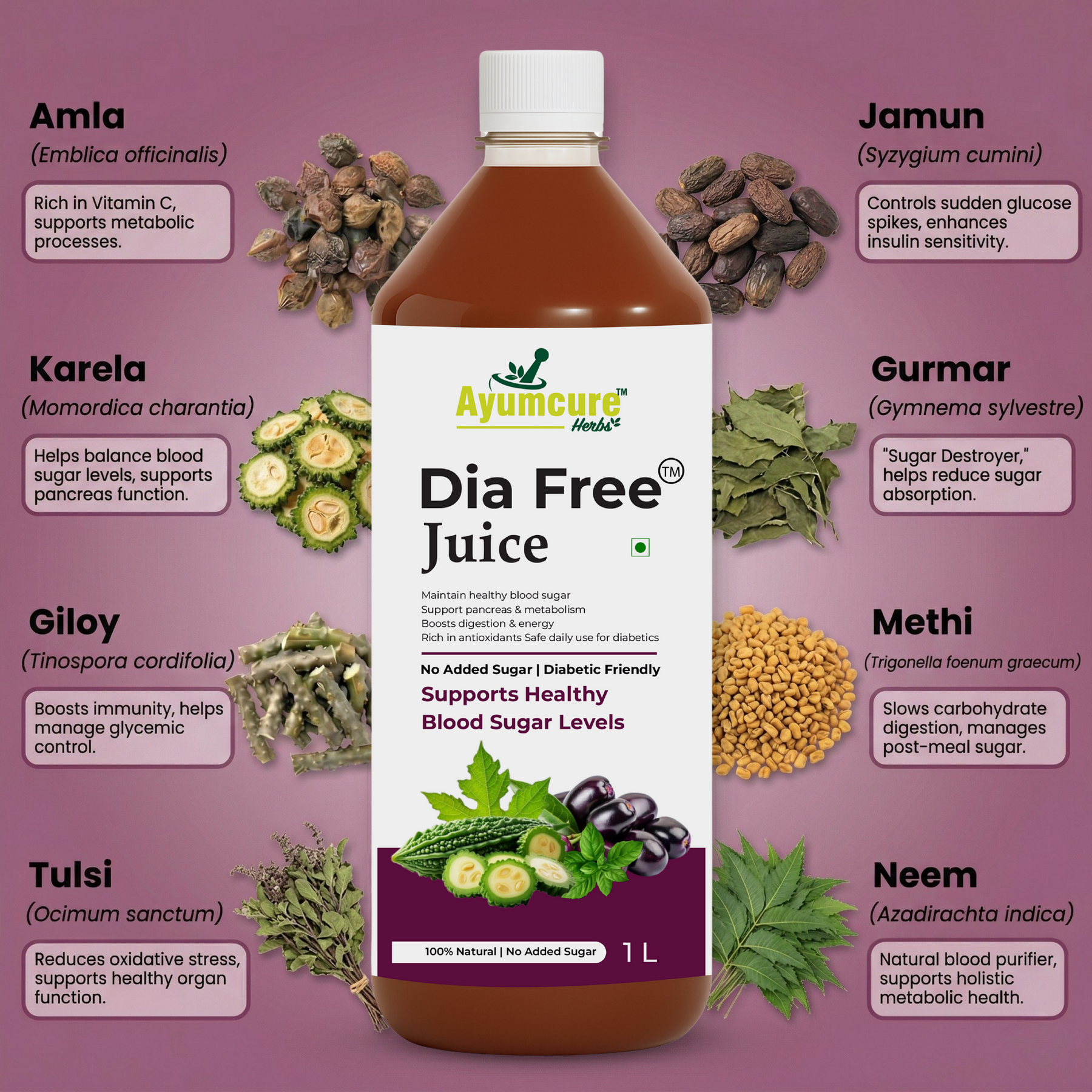 Dia Free Ayurvedic Juice Pack of 2 | Amla, Karela, Jamun & Tulsi | Men & Women