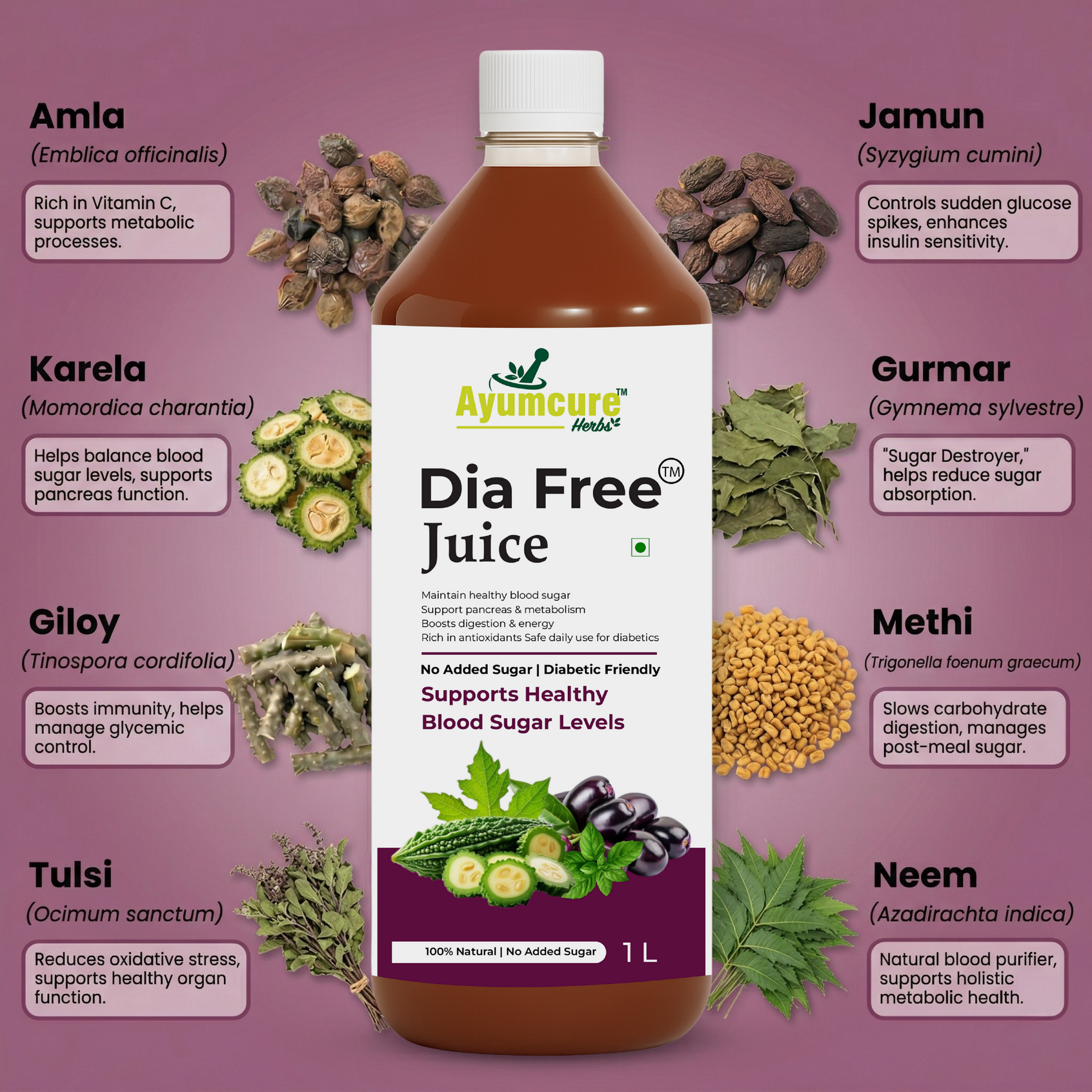 Dia Free Ayurvedic Juice Pack of 2 | Amla, Karela, Jamun & Tulsi | Men & Women