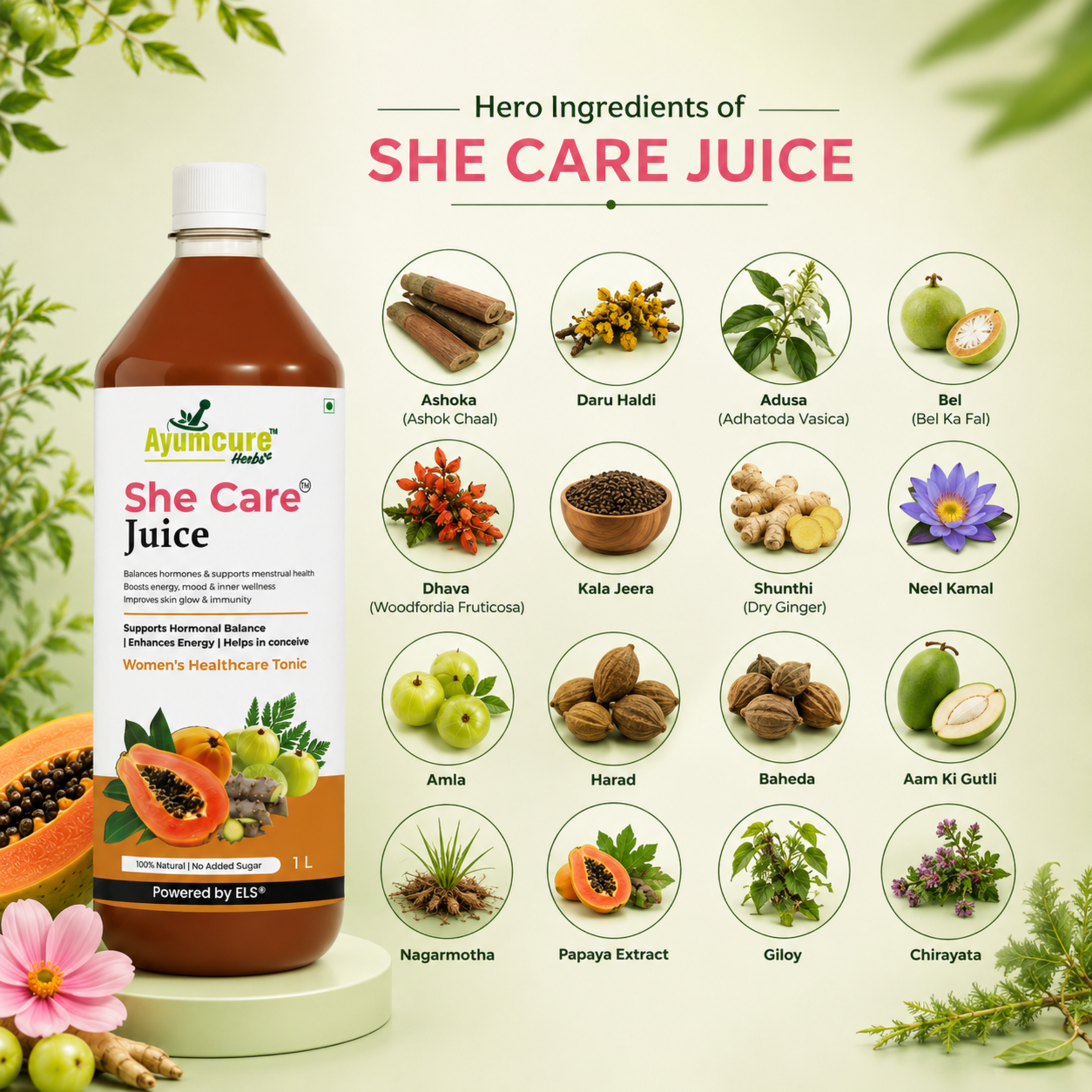 His & Her Wellness Combo | She Care Juice 1 L + HeCare Juice 1 L + Women’s Plant-Based Protein Powder 400 g, Chocolate Flavour |