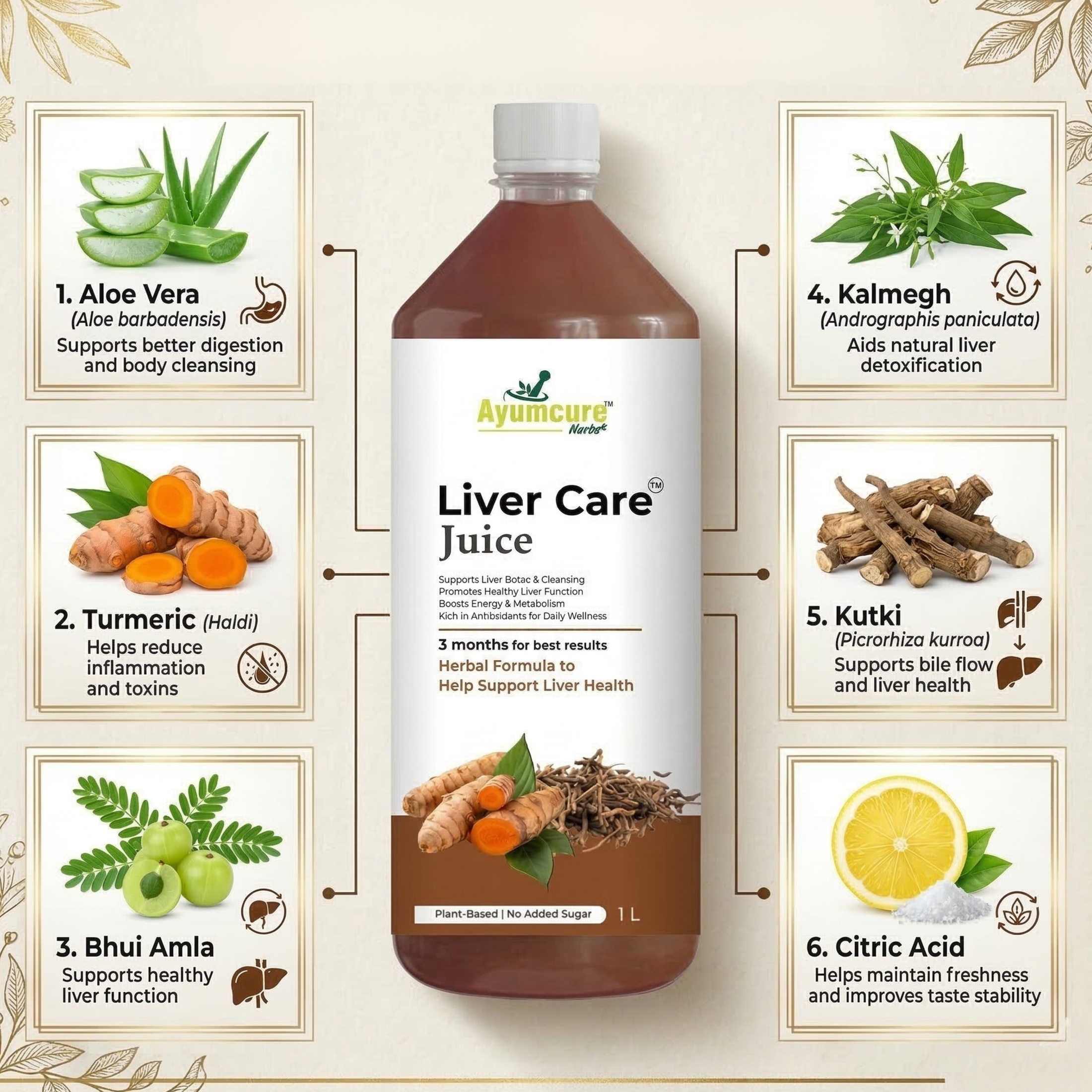 Liver Care Juice Pack of 2 | Aloe Vera, Turmeric, Bhui Amla & Kalmegh | Men & Women
