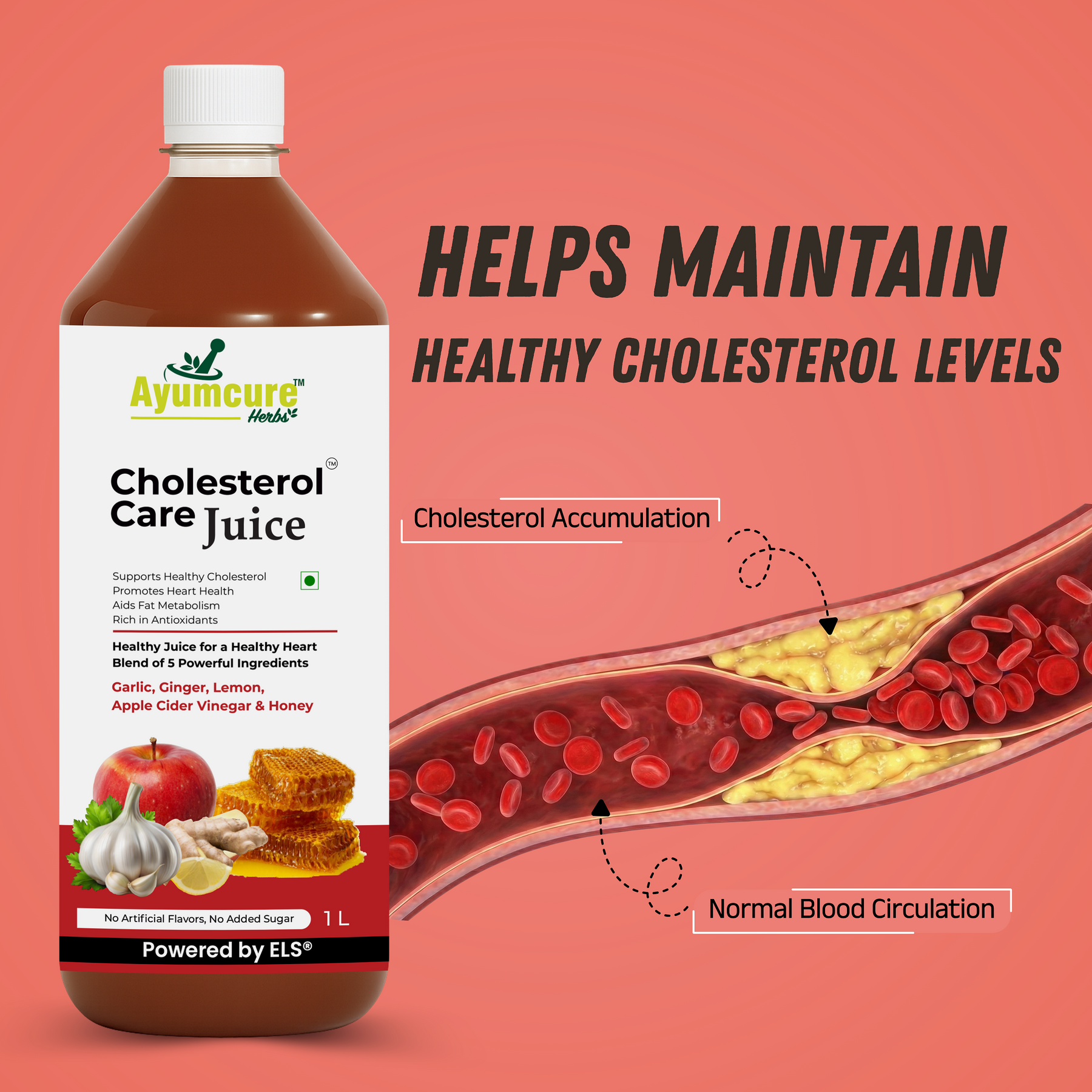 Cholesterol Care Juice Pack of 2 | Garlic, Ginger, ACV & Honey | Men & Women