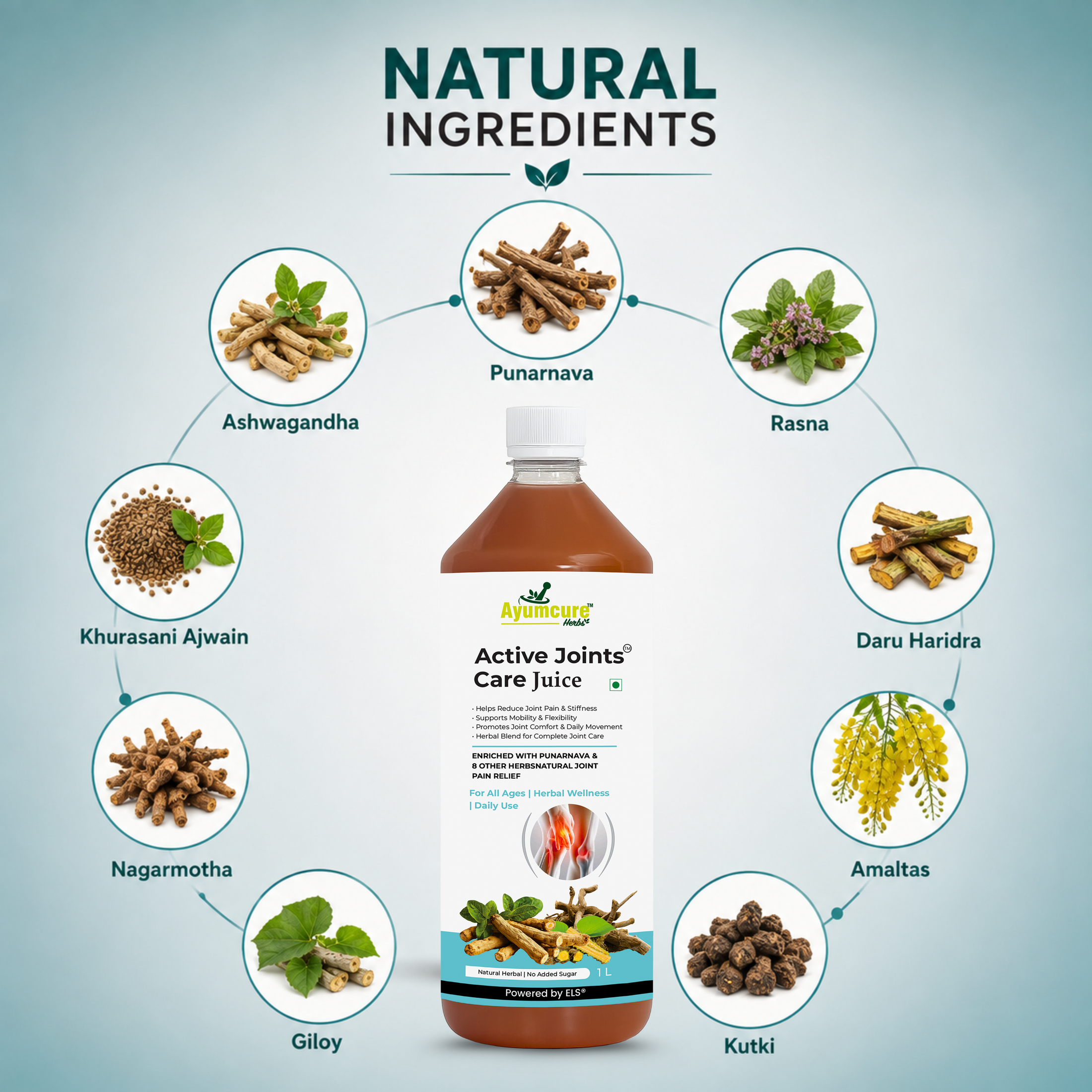 Active Joints Care Juice | Mobility & Flexibility Support | Men & Women