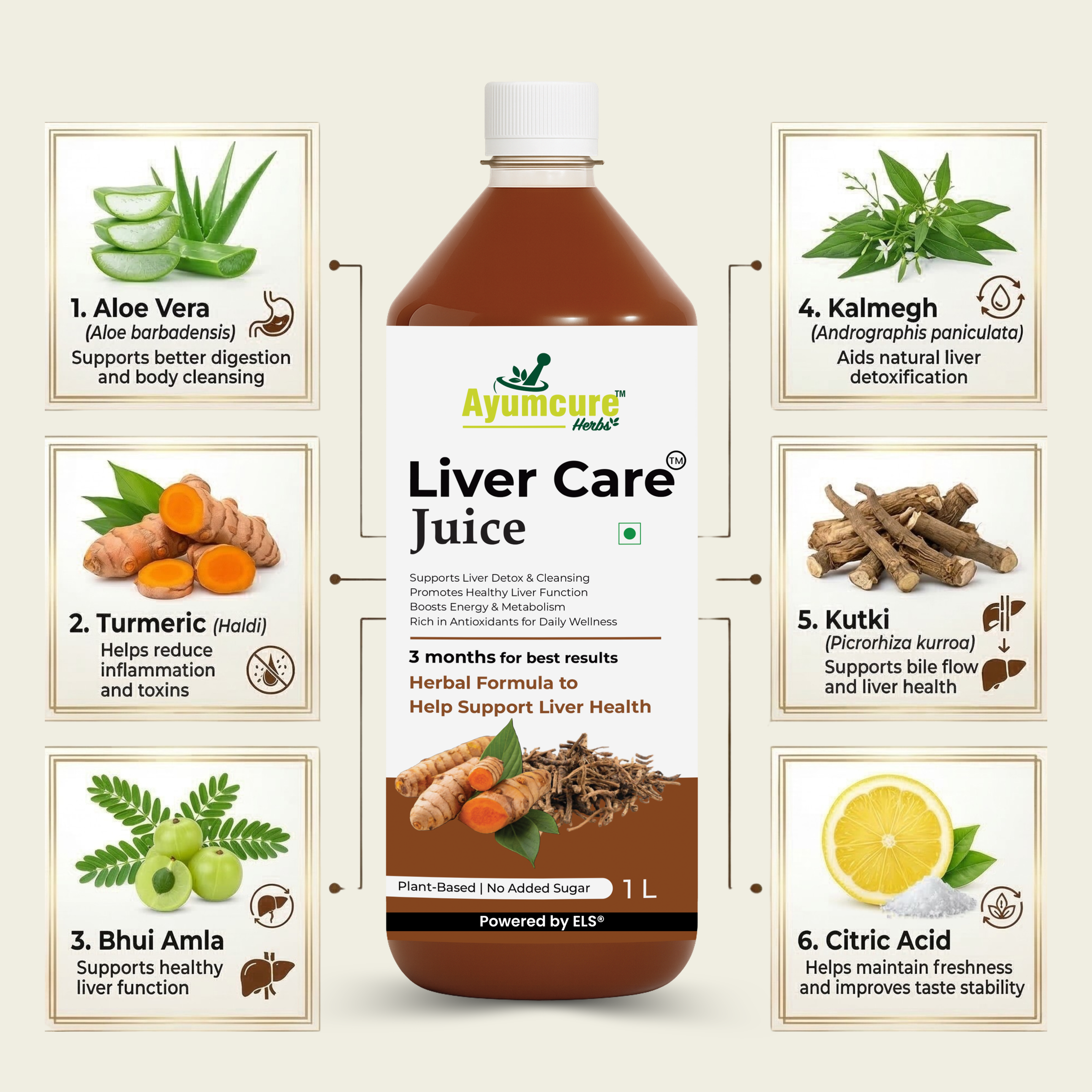 Liver Care Juice | Aloe Vera, Turmeric, Bhui Amla & Kalmegh | Men & Women