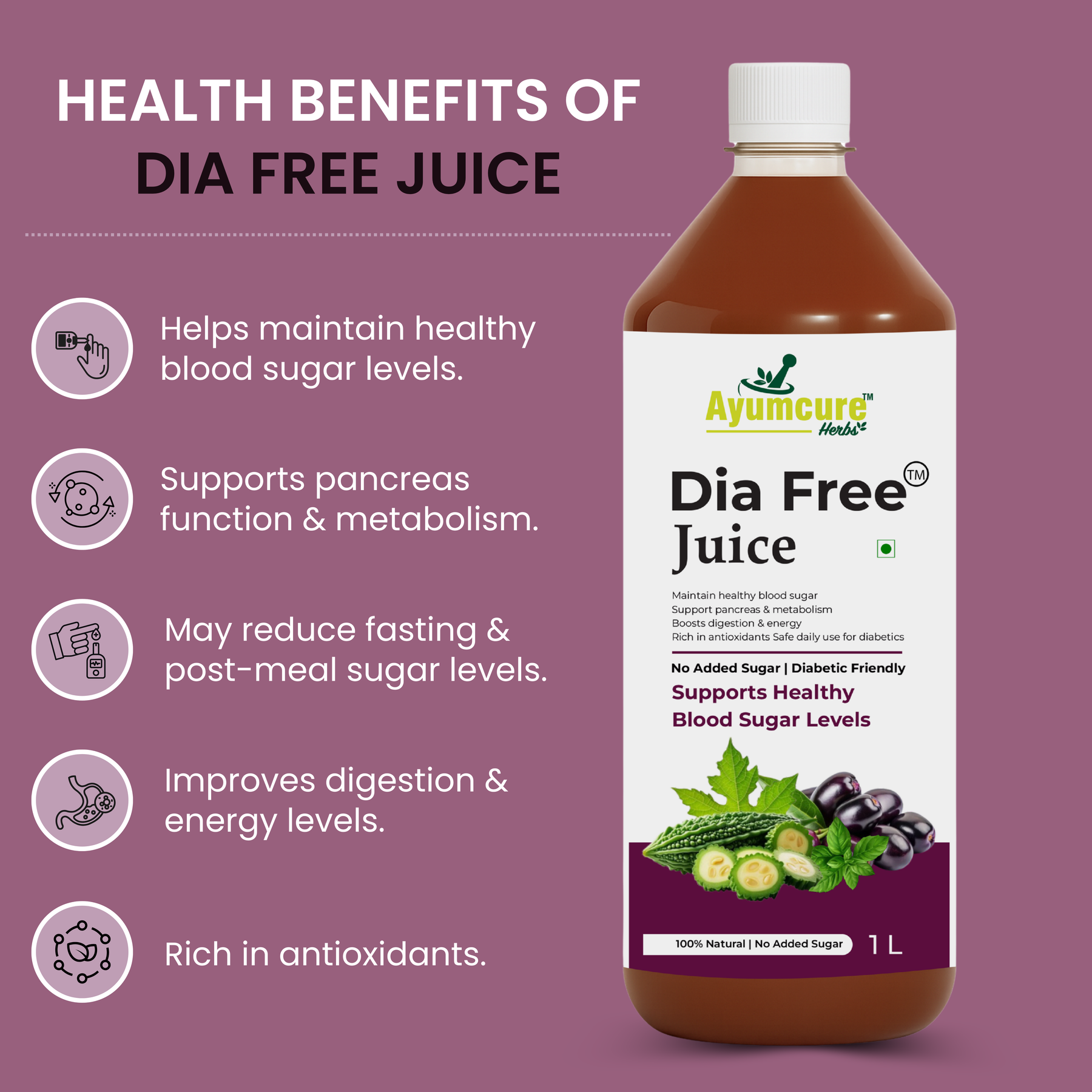 Dia Free Ayurvedic Juice Pack of 2 | Amla, Karela, Jamun & Tulsi | Men & Women