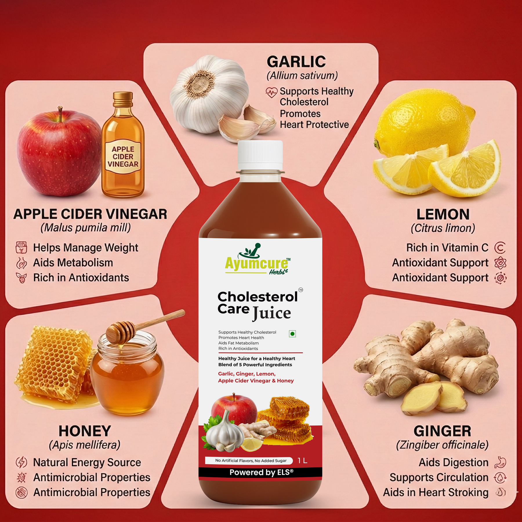 Cholesterol Care Juice Pack of 2 | Garlic, Ginger, ACV & Honey | Men & Women
