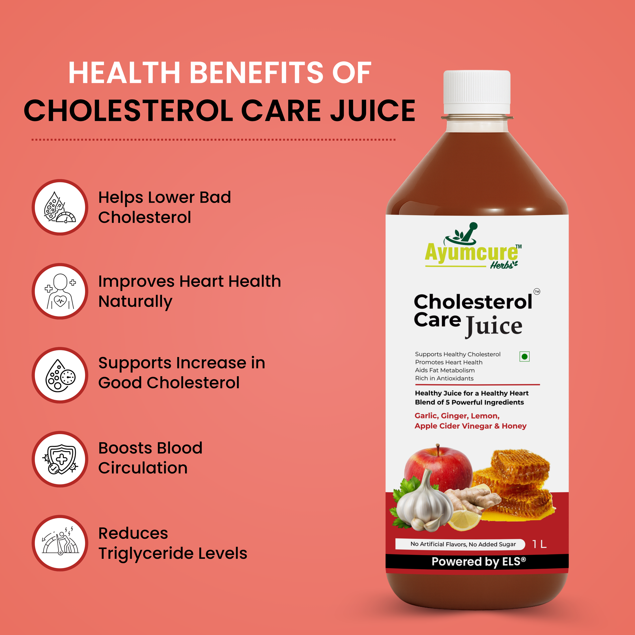 Cholesterol Care Juice Pack of 2 | Garlic, Ginger, ACV & Honey | Men & Women