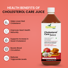 Cholesterol Care Juice Pack of 2 | Garlic, Ginger, ACV & Honey | Men & Women
