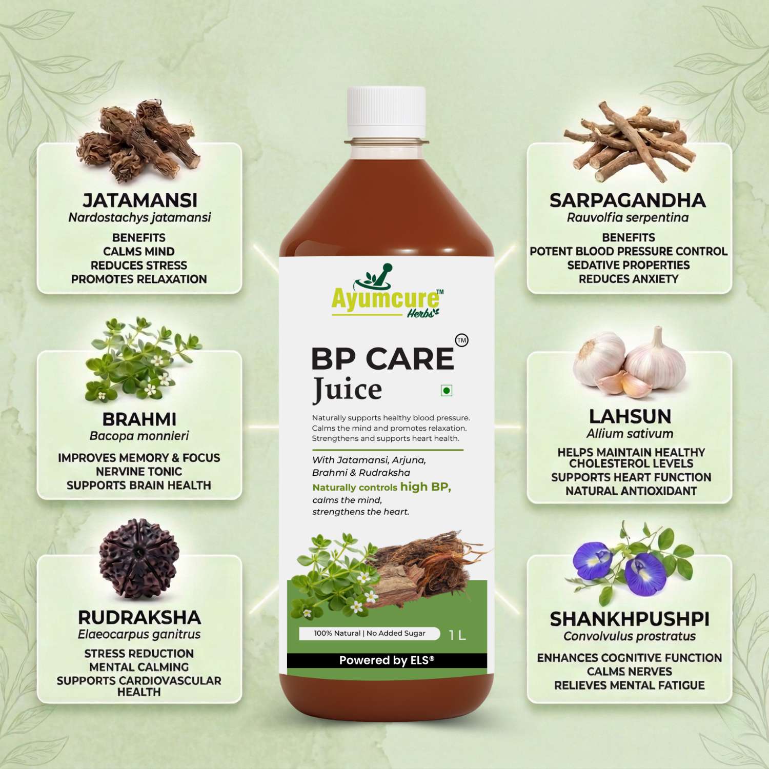BP Care Ayurvedic Juice – Manages High Blood Pressure | Sugar Free | Men & Women
