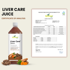 Liver Care Juice Pack of 2 | Aloe Vera, Turmeric, Bhui Amla & Kalmegh | Men & Women