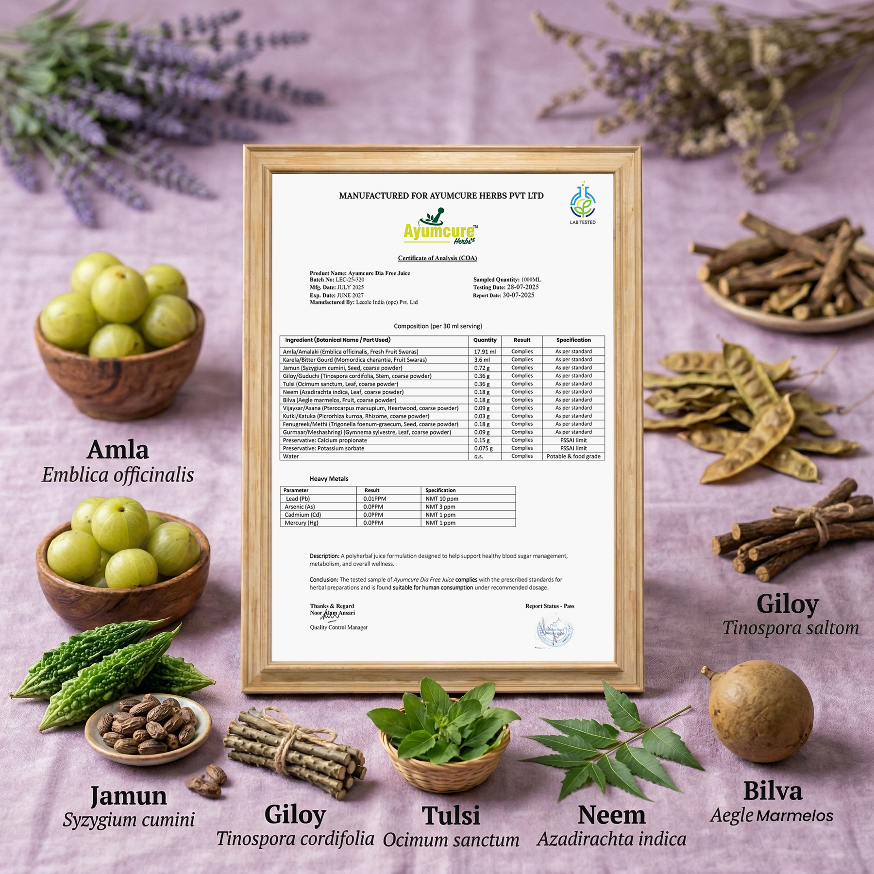 Dia Free Ayurvedic Juice Pack of 2 | Amla, Karela, Jamun & Tulsi | Men & Women