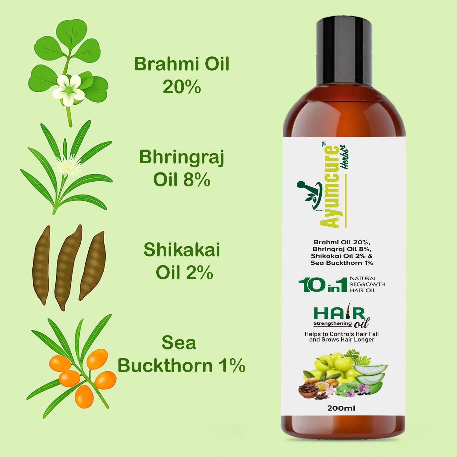 Hair Oil | 1% Sea Buckthorn, 20% Brahmi, 8% Bhringraj, 2% Shikakai | Men & Women