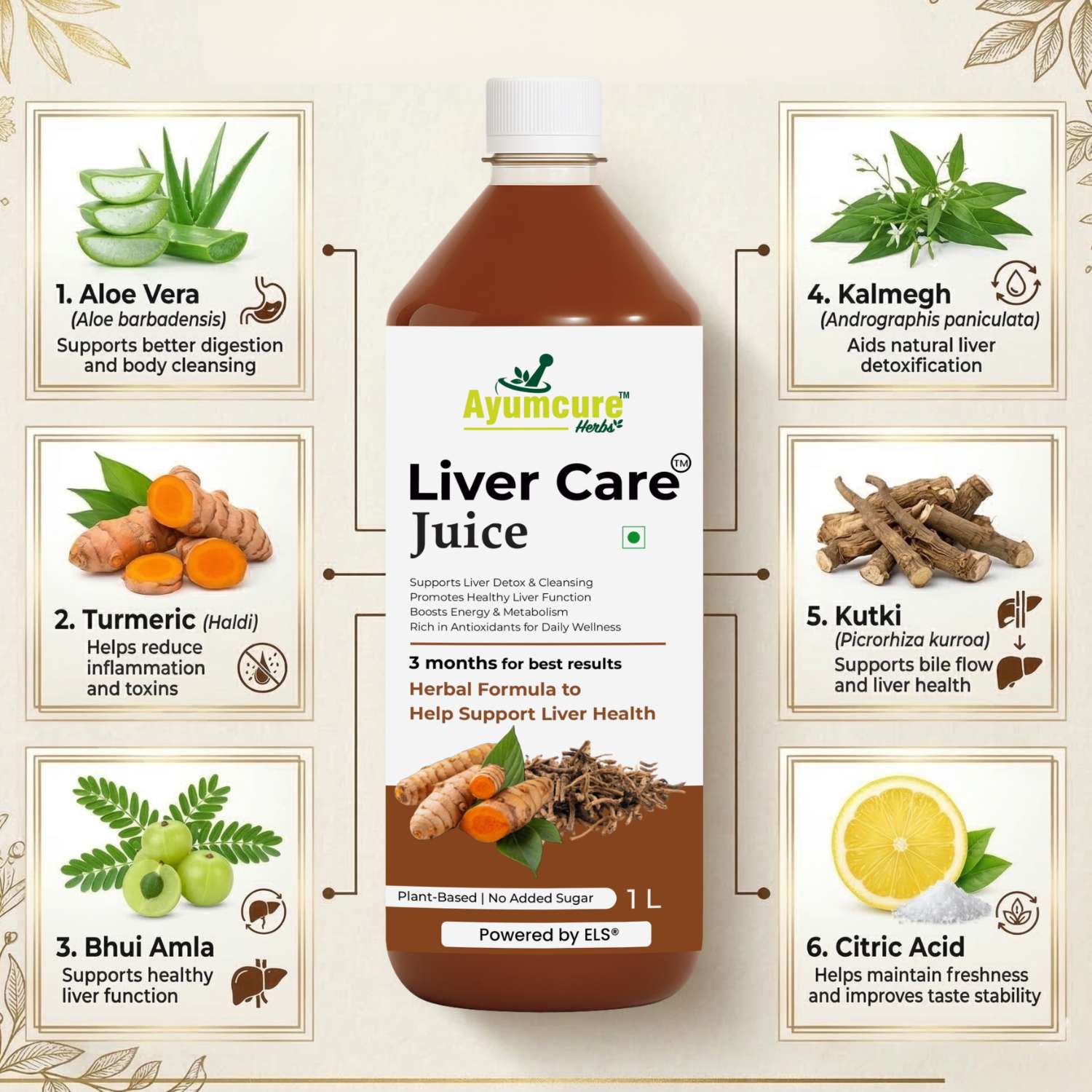 Liver Care Juice | Aloe Vera, Turmeric, Bhui Amla & Kalmegh | Men & Women