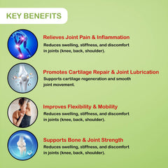 Herbal Joint Care Capsules | Relieves Pain, Inflammation & Arthritis | Men & Women