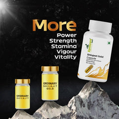 Shilajit Gold Capsule | 500mg Shilajit + Ashwagandha + Swarna Bhasma | Men & Women