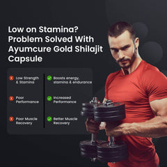 Shilajit Gold Capsule | 500mg Shilajit + Ashwagandha + Swarna Bhasma | Men & Women