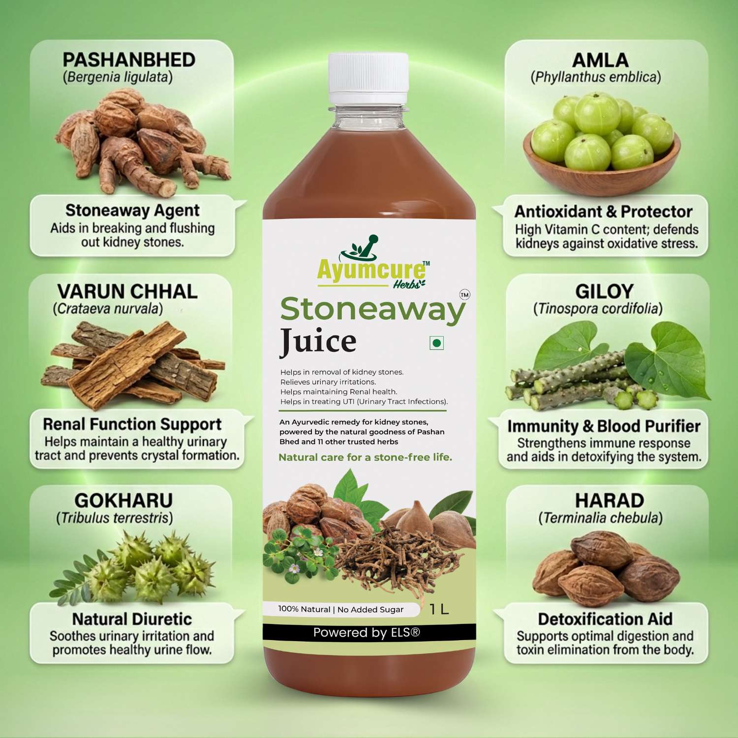 Stoneaway Juice | Pashan Bhed + Gokshura | Kidney Stone & UTI Support | Unisex