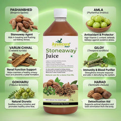 Stoneaway Juice | Pashan Bhed + Gokshura | Kidney Stone & UTI Support | Unisex